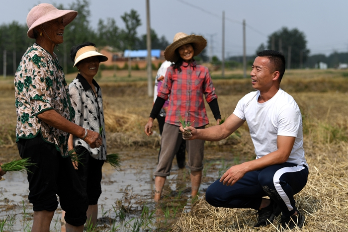 “三夏”時(shí)節(jié)戴虎在田間與村民們交流。受訪者供圖