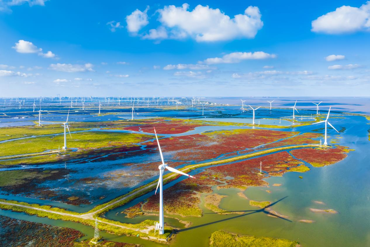 鹽城濱海濕地上的風(fēng)力發(fā)電機(jī)組。孫華金攝