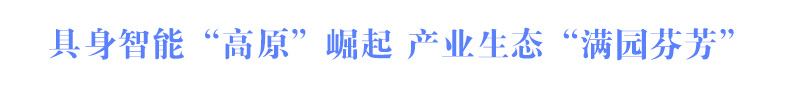具身智能“高原”崛起 產(chǎn)業(yè)生態(tài)“滿園芬芳”