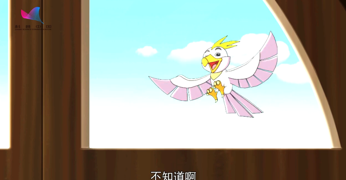 《樂(lè)樂(lè)熊奇幻追蹤》30集：DNA是如何傳遞生物遺傳信息的