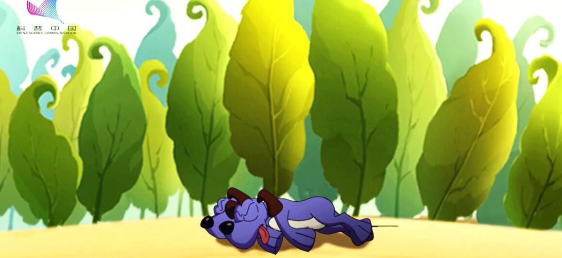 《樂(lè)樂(lè)熊奇幻追蹤》48集：如何通過(guò)科學(xué)實(shí)驗(yàn)揭開(kāi)事物真相