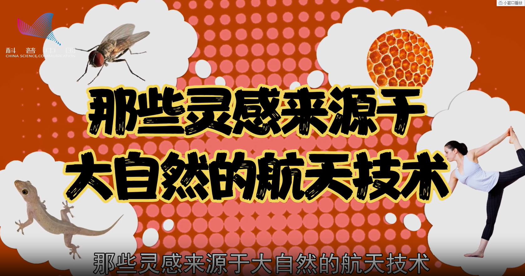 萌航天：那些靈感來源于大自然的航天技術(shù)