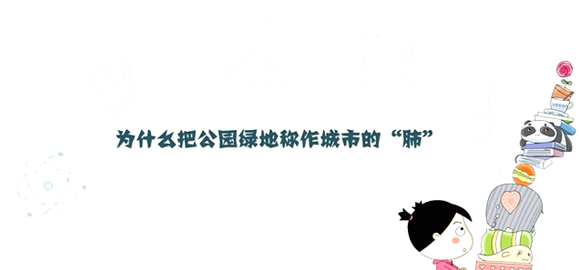 為什么把公園綠地稱作城市的"肺”
